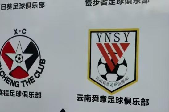 云南鲁能泰山？
最近有球迷吐槽，云南某球队跟山东泰山的logo一模一样，完全是山
