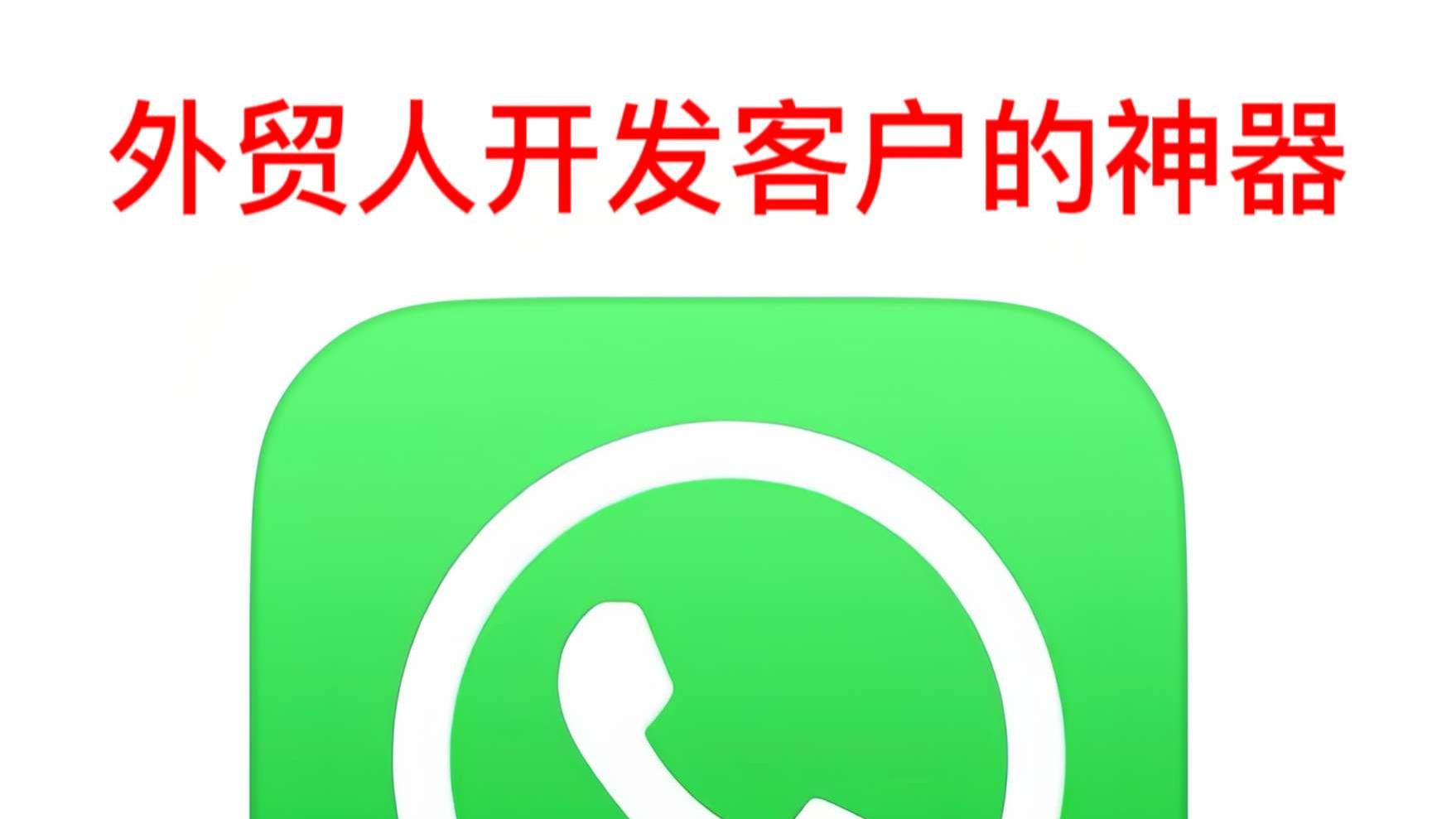 WhatsApp网页版快速搜索聊天内容方法，让信息获取高效