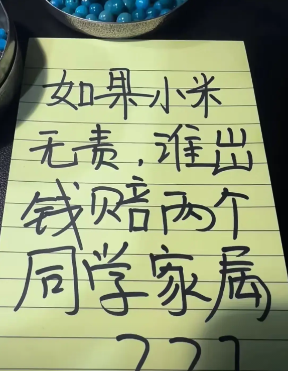 有网友提问“如果小米无责、那另外两个女孩由谁来赔偿？”

首先肯定是保险赔大头的