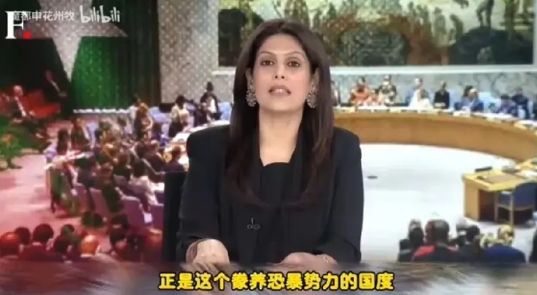印度气炸了！巴基斯坦被推举为联合国反恐委员会副主席国。
​
​此消息一出，印度立