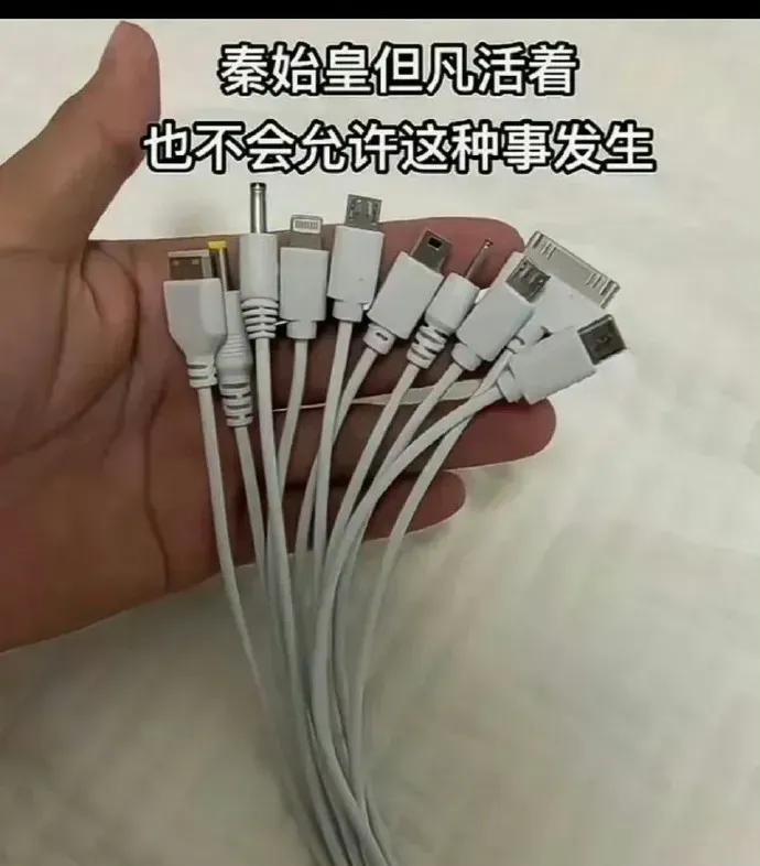 你们为何各式各样？就不能都一样？
但使秦国始皇在，绝不允许此类事
书同文，车同轨
