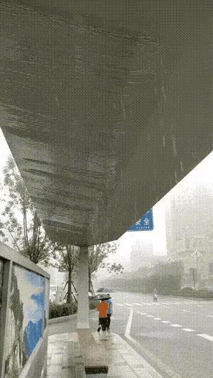 今天周末，工地上没什么事，出去准备转一转，散散心。
刚在公园转了一圈，天突然下起