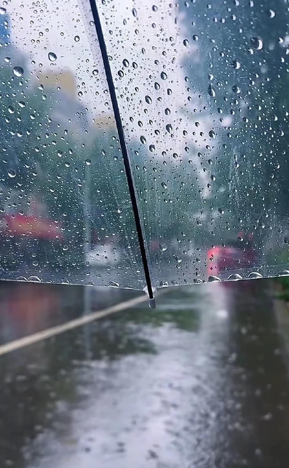 人生啊，像极了这场雨，说来就来，不给你准备的机会，所以啊，随时带伞，不然湿了自己