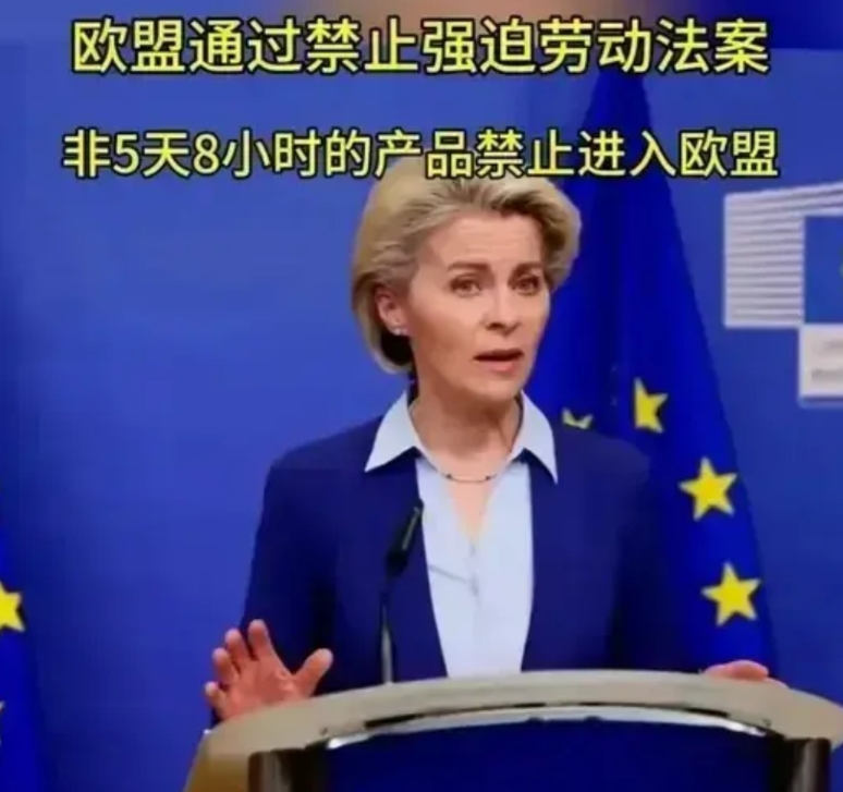 欧盟的禁止加班，主要坑的不是我们，而是东南亚，整个东南亚才7亿人口，西方要想把工