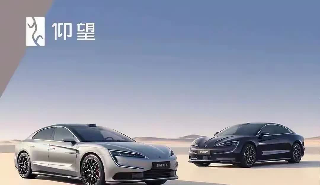 雷军都估计又震惊了！奔驰宝马也没明白，就连马斯克想了三天四夜估计也没明白，一觉醒