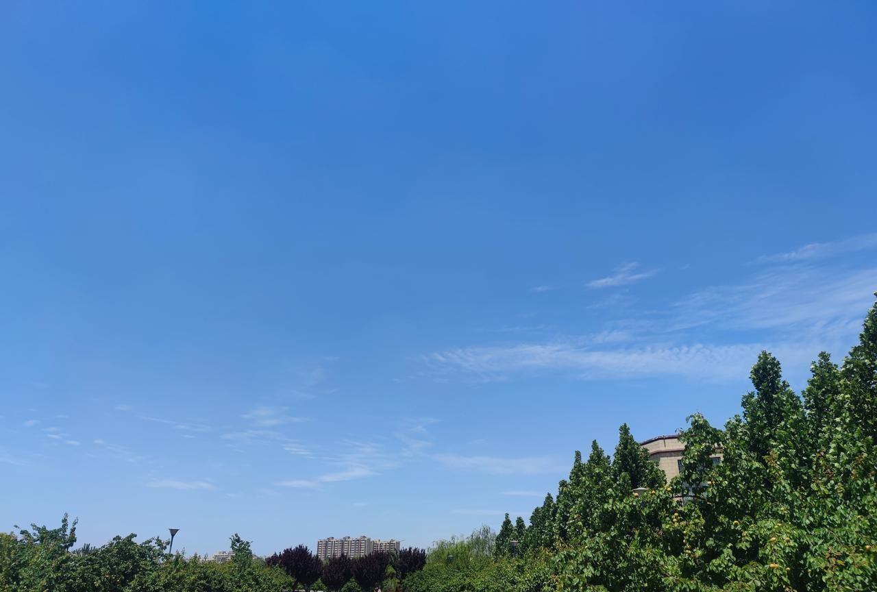 观察发现：
单位里领导身边的心腹；
你会发现他跟工作干的出色的人完全是两批人；