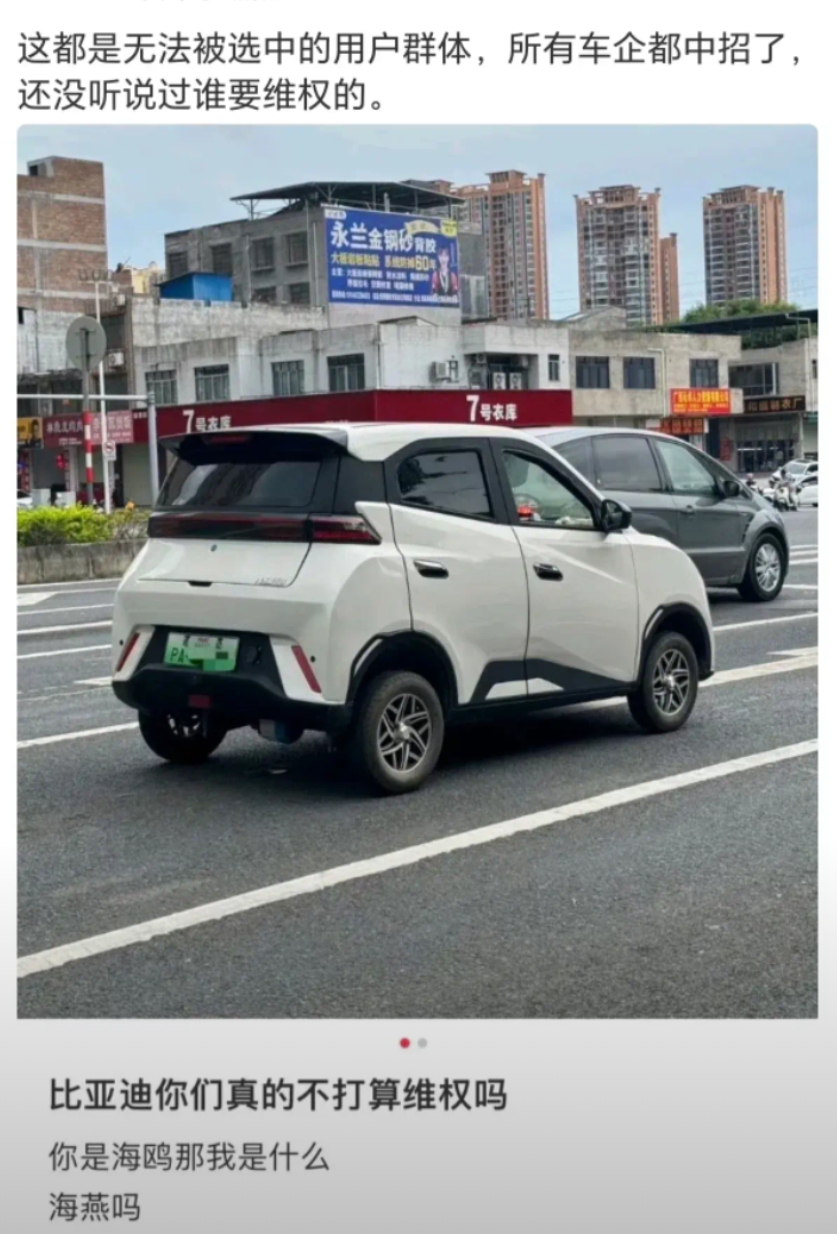 比亚迪你们真的不打算维权吗