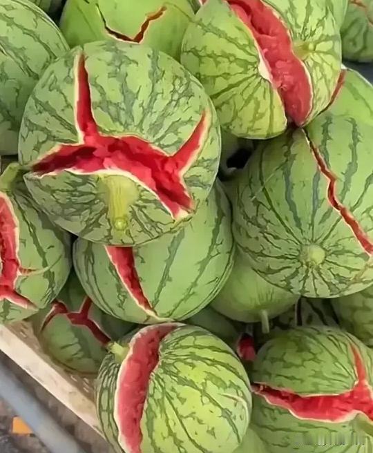 安徽，一名商贩去农户地里进了一车西瓜，准备到街上售卖，最后，商贩把车开到了一个人