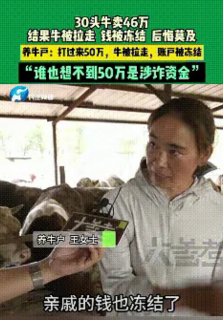 养牛户卖了30头牛，成交46万，对方打过来50万，牛被拉走了，结果账户被冻结，涉