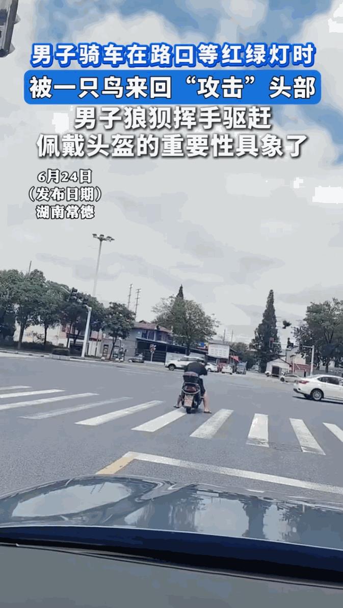 “这下后悔了吧！”6月24日，湖南常德，一男子骑着电动车在路口等红绿灯，谁知一只