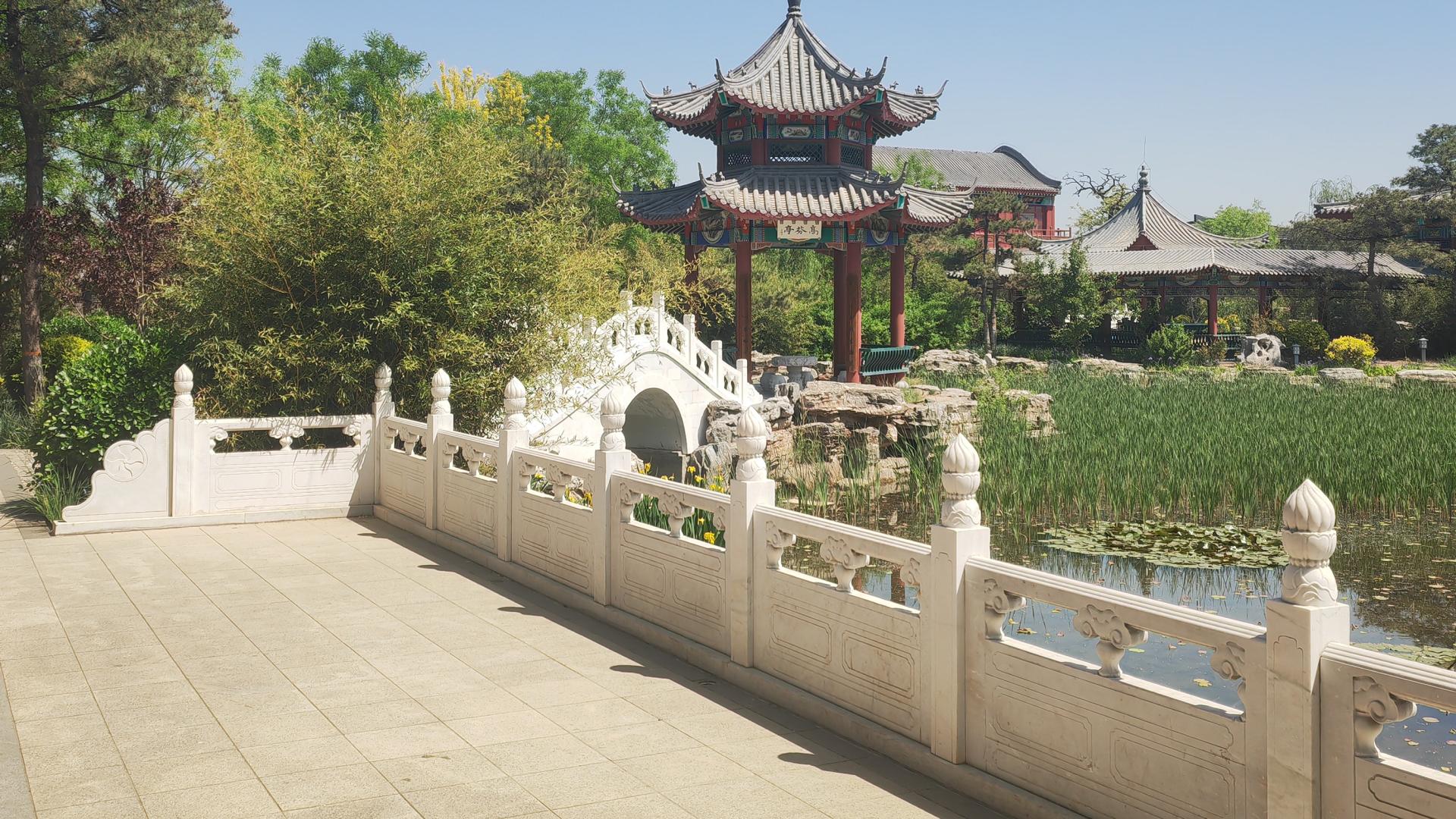 2025乙巳蛇年每日通盛及各生肖运势11月8日