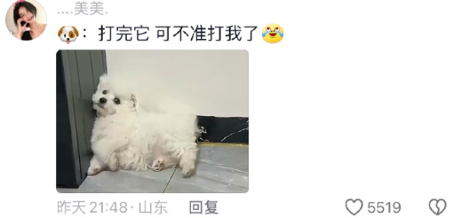 小狗快嵌墙里了