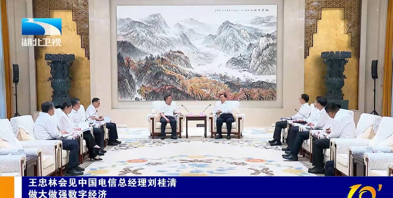 6月12日，湖北省领导在武汉会见中国电信总经理刘桂清一行。