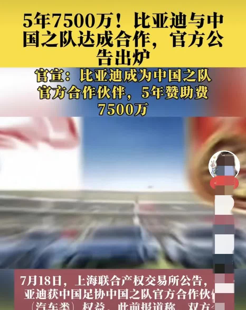 比亚迪是怎么想的，赞助谁不好，非要去赞助最不争气、最不景气的项目～～～。不太理解