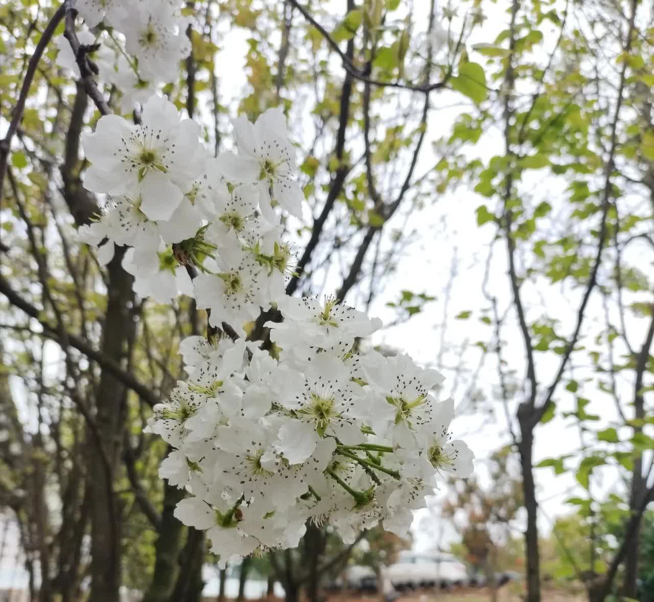 刚才去一个驾校上厕所，在练车场看了一会儿。
就见那个年轻的教练，温声细语的教学