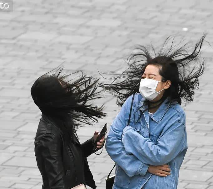 历史罕见的13级大风要来，

可把我紧张坏了！

这哪是春风，明明就是“