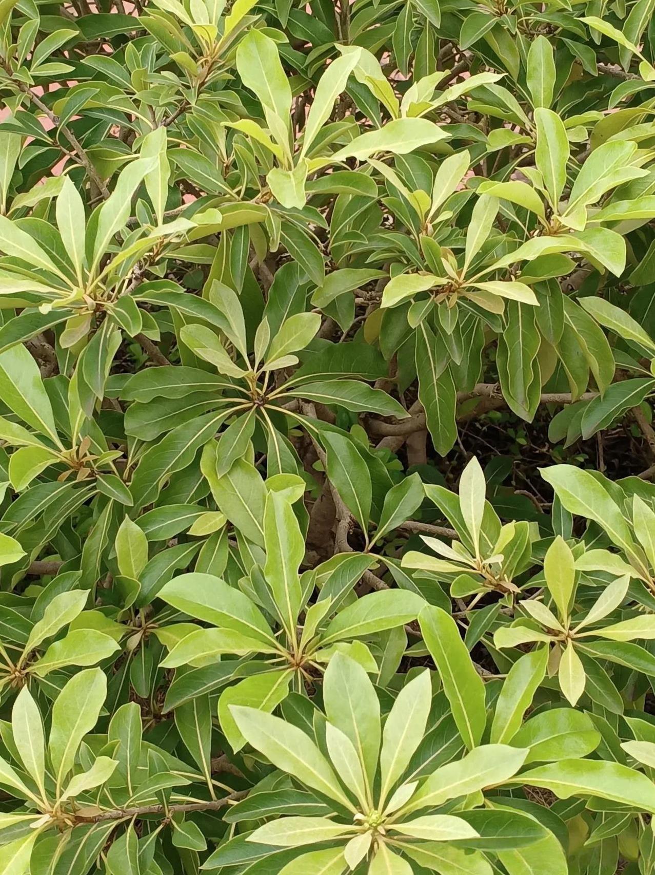 每天翻看一些招聘平台，想在上面能否找到一些事情做。
首先本人没有什么技术，只能找