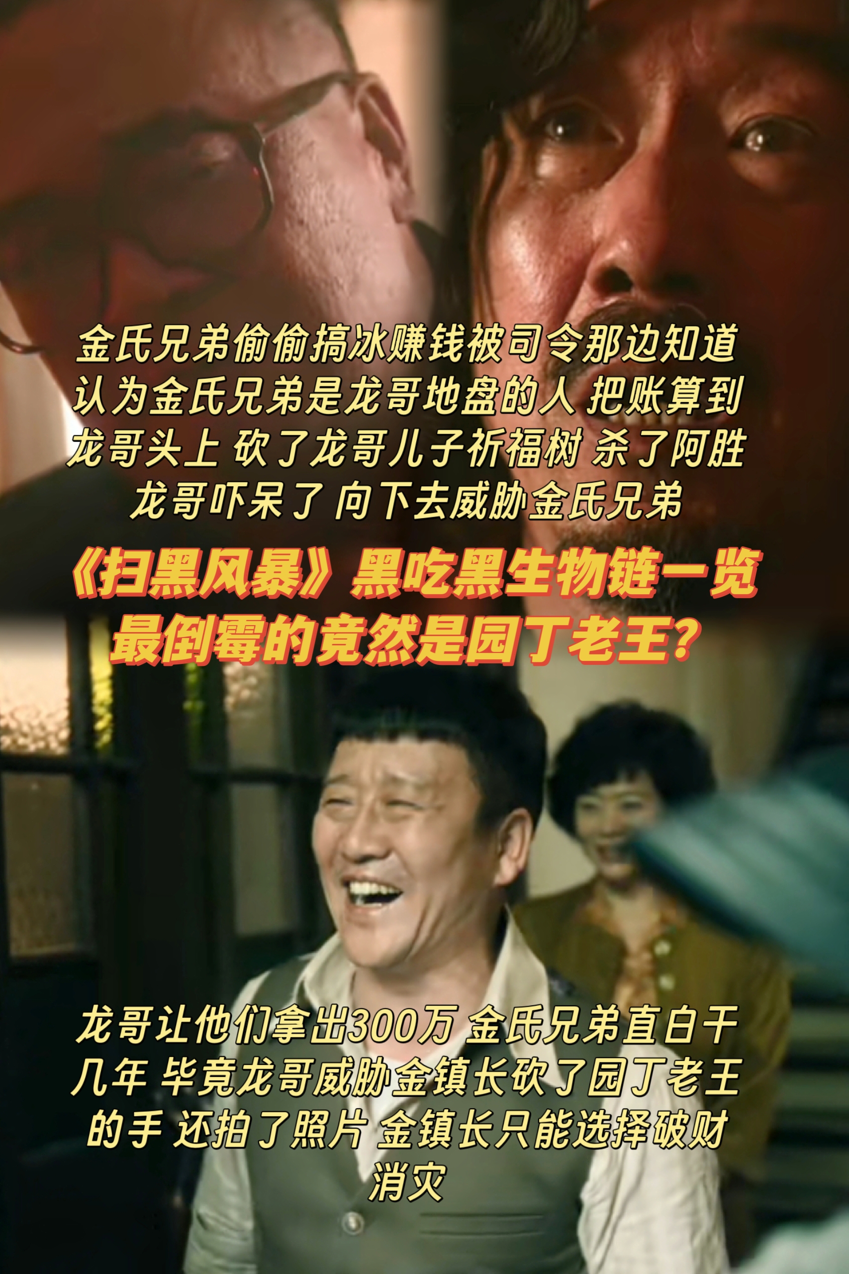 《扫毒风暴》黑吃黑生物链，底层的太惨了
