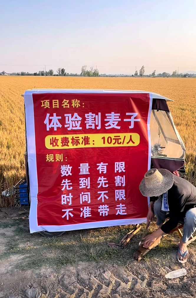 我觉得我们家也可以试试 万一有人要来呢！
