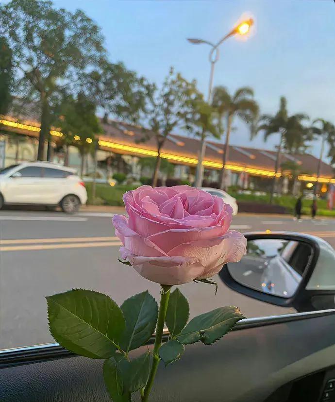 面子给人，也是给自己。给人面子，是人情往来中的最大智慧。饭桌上的一句“您说得对”