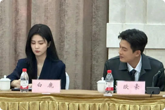北上开研讨会了，白鹿和欧豪两大主角坐在一起，他们的同框，给你带来什么感觉呢？
