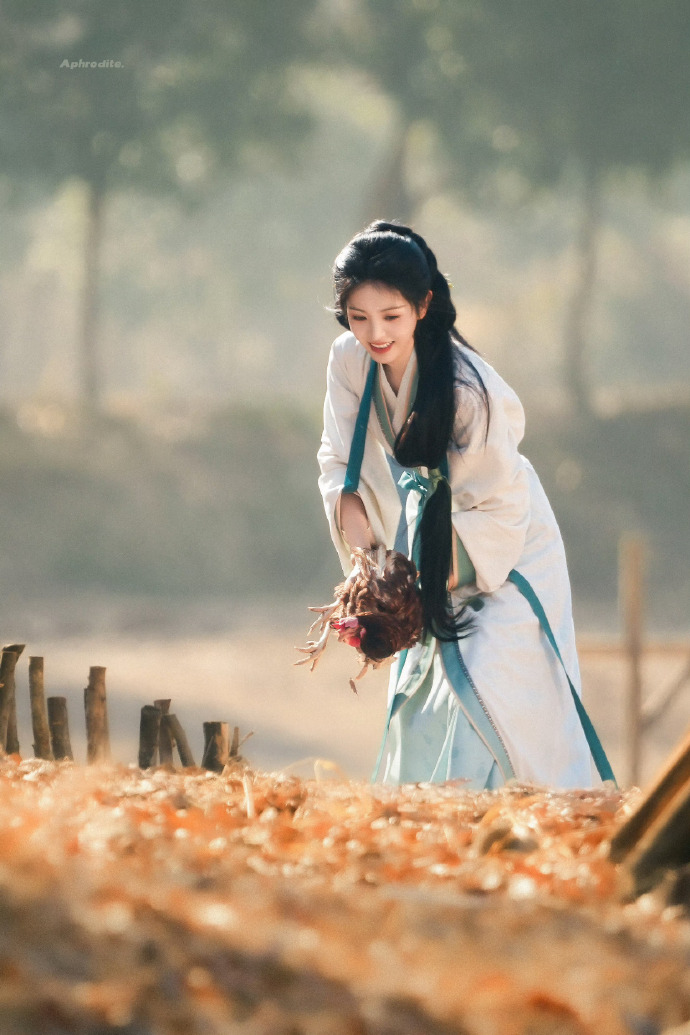 田曦薇主演的嫁金钗路透图
笑起来太甜了