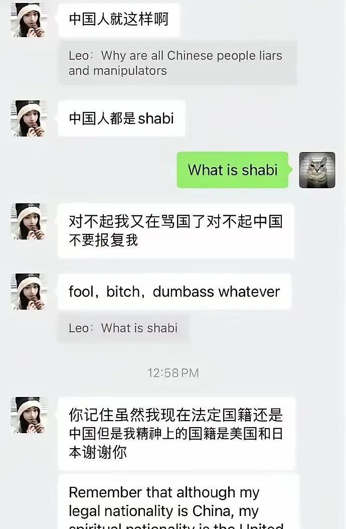 这么小的孩子就这么恨国人，这长大了还了得。这要是在法国美国日本从政了，说不定对我