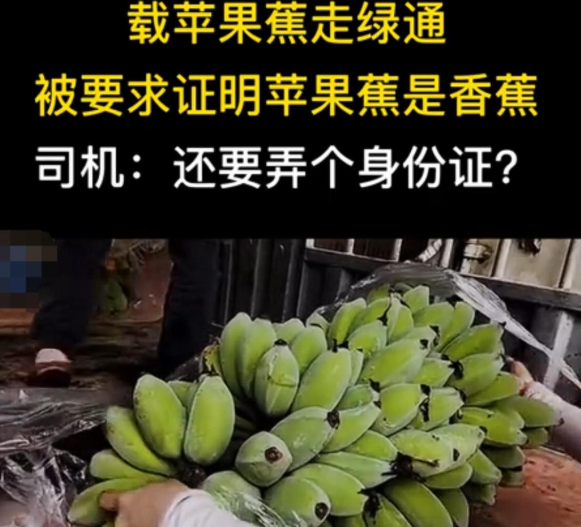 “你怎么证明它是香蕉？”货车司机拉了一车苹果蕉，想要拉回老家售卖。谁知下高速时，