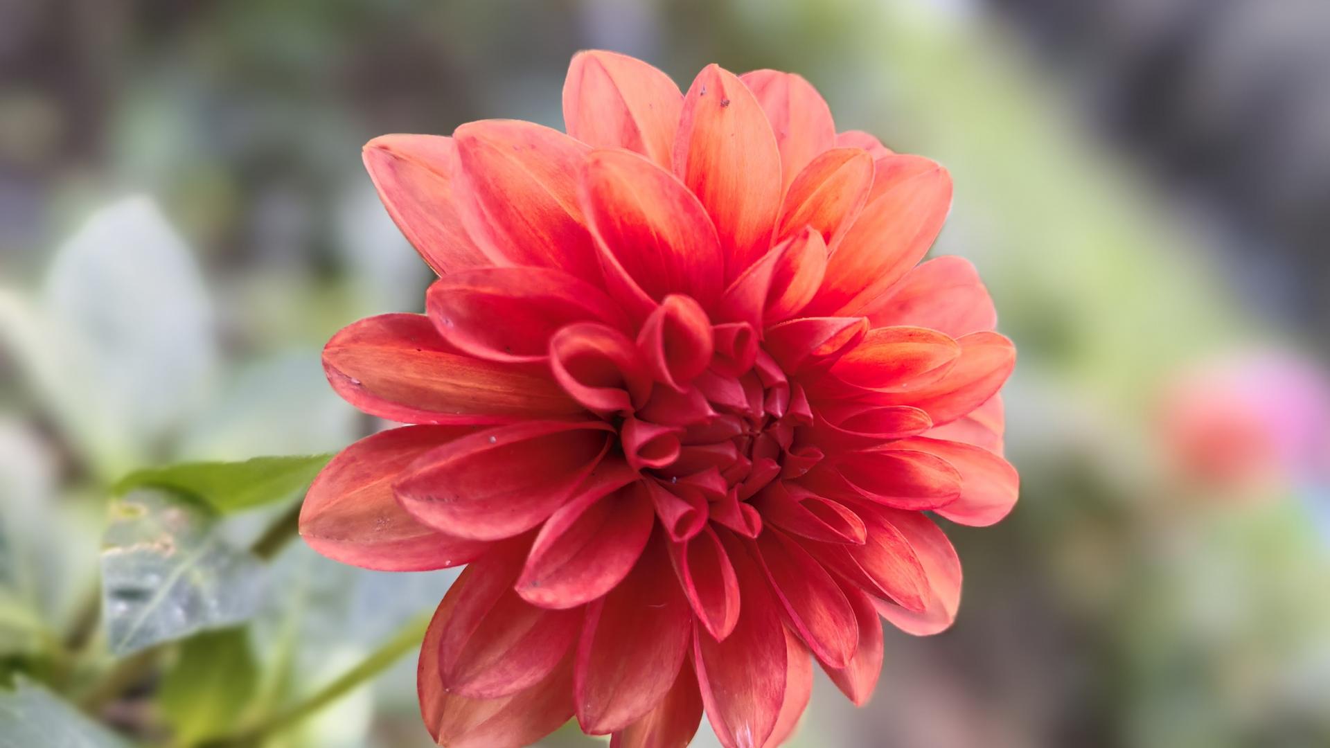 秀才不怕衣衫破，就怕肚里没有货