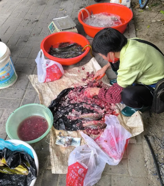 我们菜市场有一对卖鱼的夫妻，卖的鱼都是从同一个地方批发来的，品种和质量一模一样，