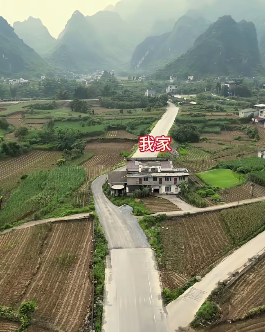 南方农村，这种“钉子户”怎么破？ ​​​
