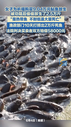 “作孽啊！”江苏一女子为给自己和家人祈福，竟花9万多买了2.5万斤外来鲇鱼，什么
