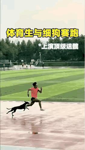 这年头，
狗子都懂得人情世故！