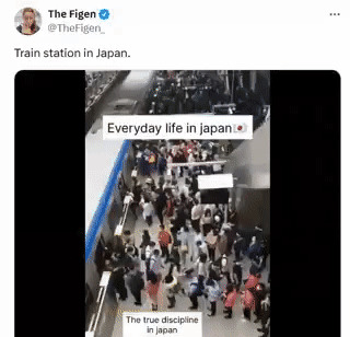 外国套路深，又想骗我们











**文章：**








