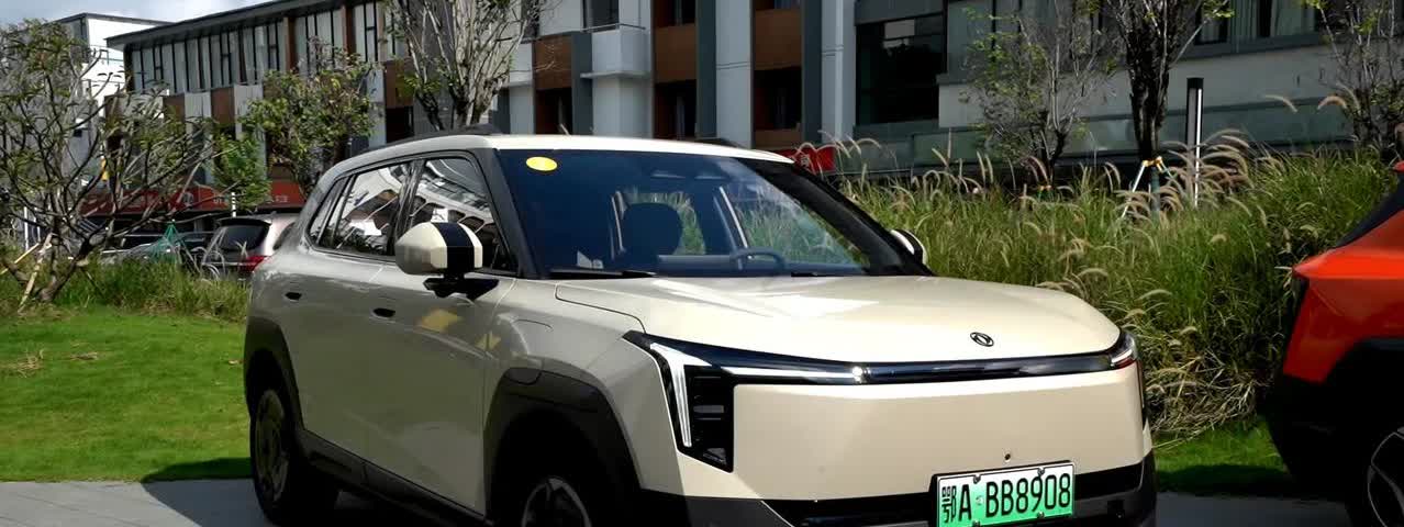 2025年买车绝招！

1、插电混动车：选比亚迪

2、油电混动车：选丰