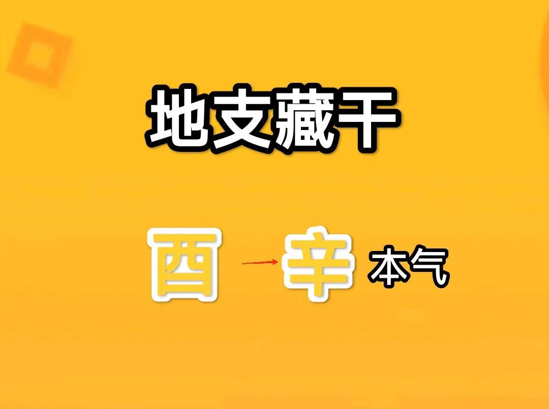 《地支藏干酉金解析》
酉金的基本属性
地支方位：正西（西方属金，酉为阴金）
五行
