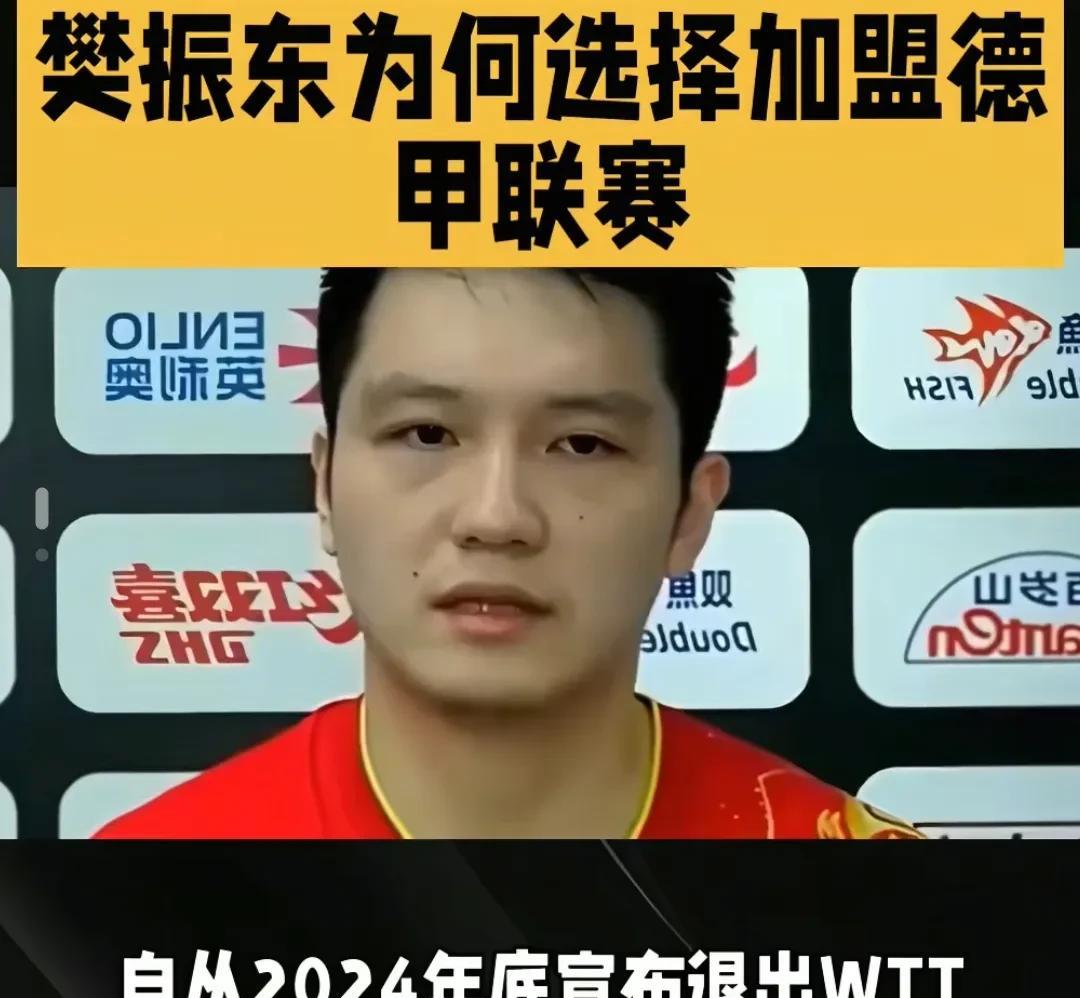 王子星
这比喻可太妙了！说樊振东加盟德甲，
就像篮球界乔丹拿完首个3连冠跑来CB