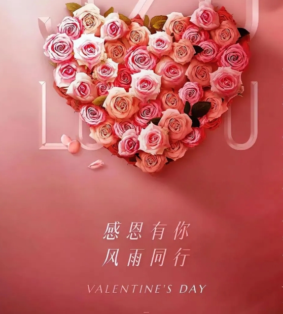 为什么不婚不育的如此多，看着周围全是大龄青年，但他们工作家庭经济却是很不错的，我