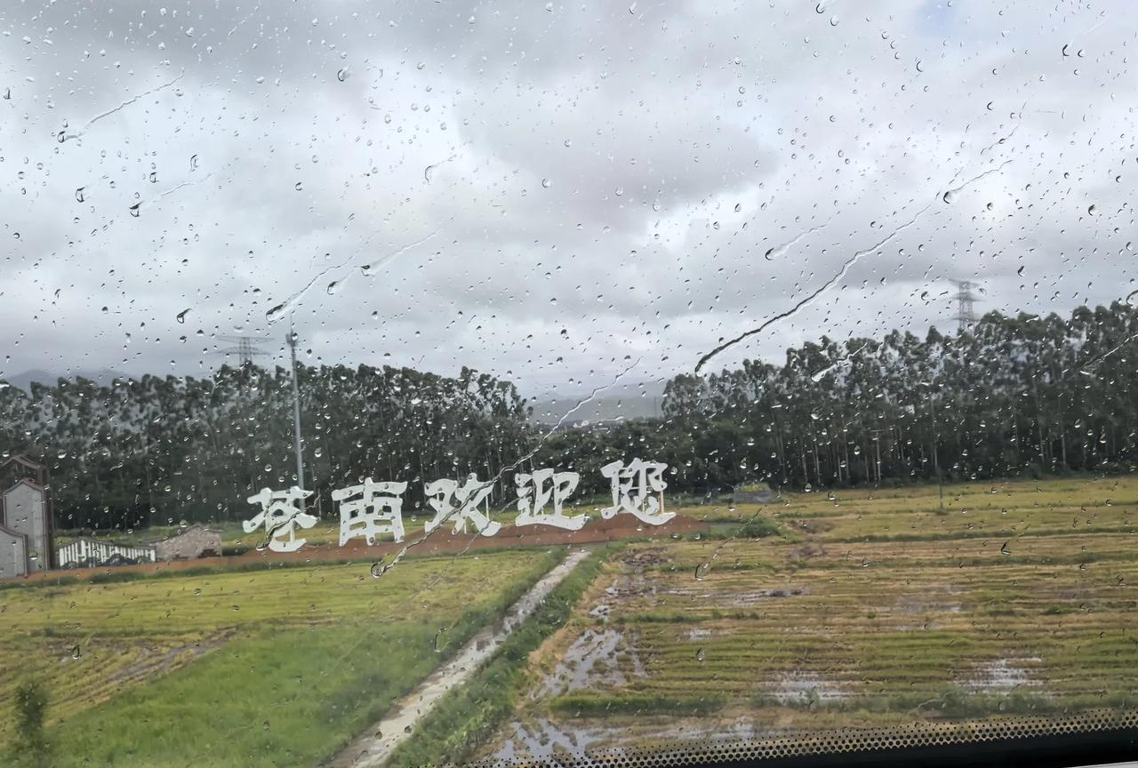 分手在雨天，再见