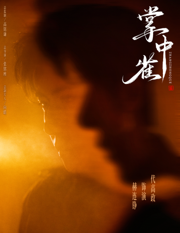 网剧《掌中雀》定档0313，代高政、管栎、胡亦瑶领衔主演