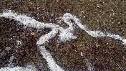 乌军士兵在未知地点拍摄了一段俄军光纤FPV无人机在爆炸后，炸出的剩余没用完的光纤