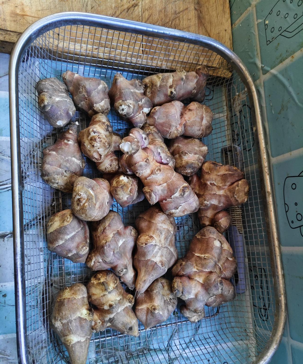 凌晨五点，黑漆漆的客厅里，传来幽幽的老鼠啃木头的声音，你会不会神情紧张，害怕的起