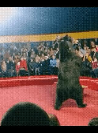 幸亏中国没有马戏团！