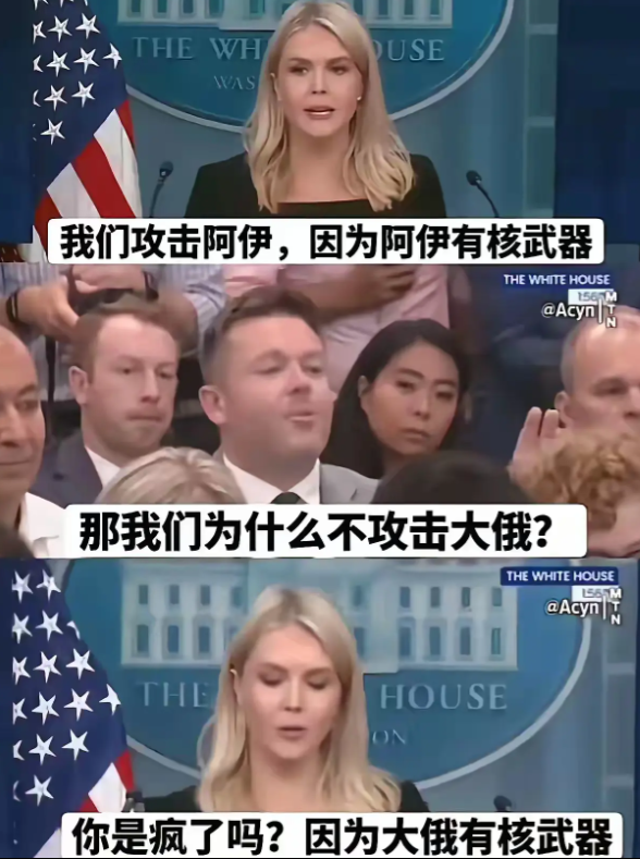 我们为什么不攻击大鹅？