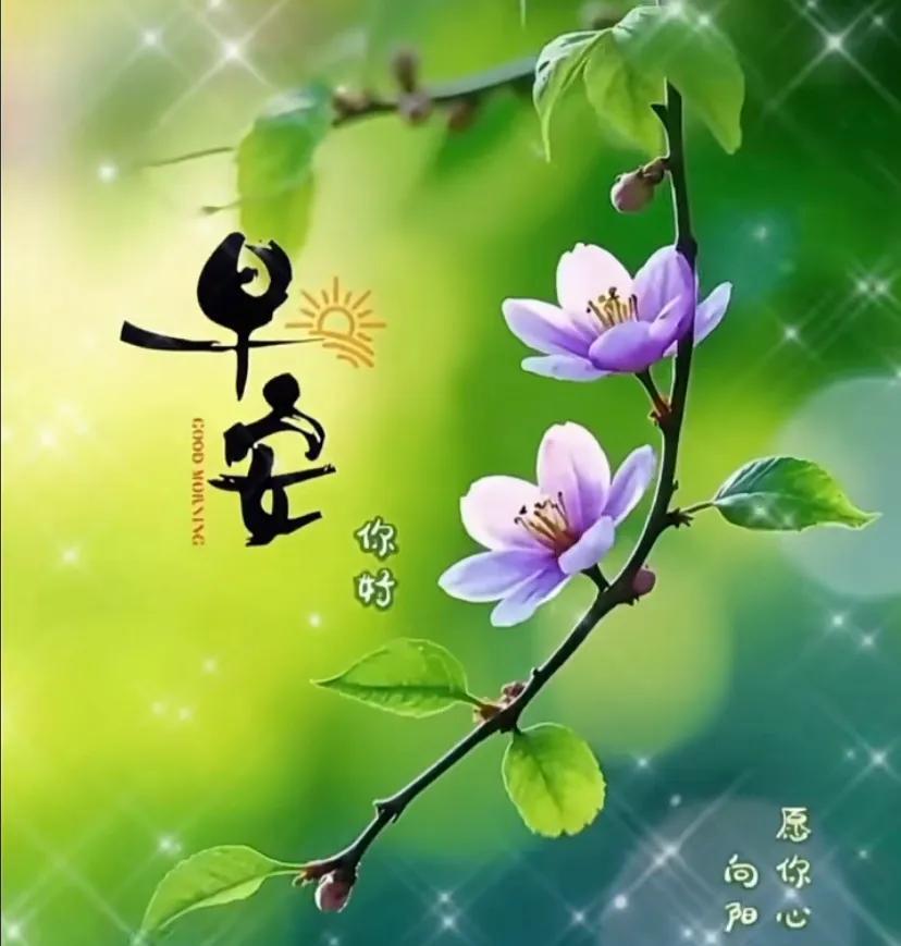 #每日一句早安#
