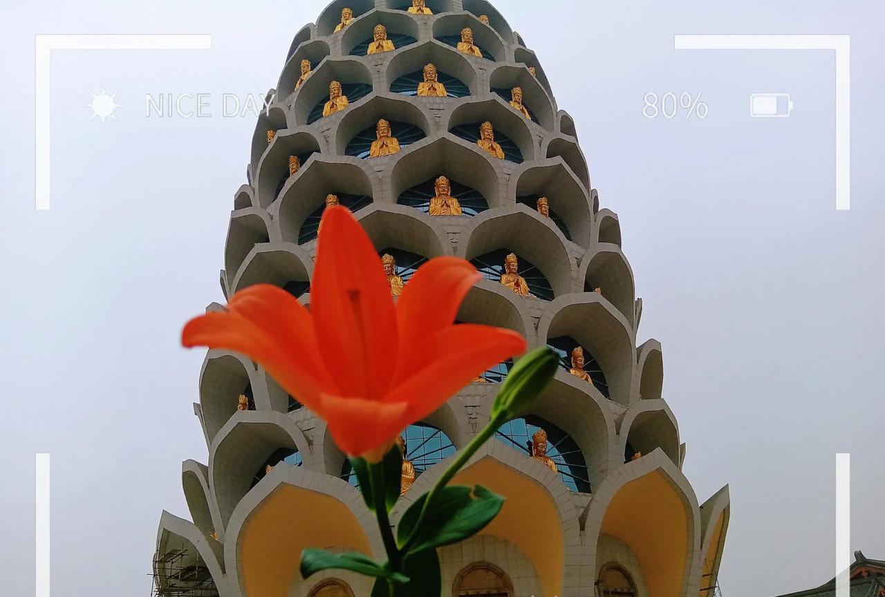 有人问索师：“佛教中提倡利他，但我主动去帮助别人，别人会不会因此而欠我的，被动接