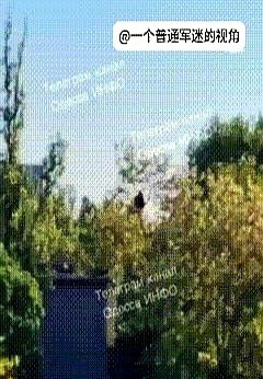 小伙为躲征兵上树





---





你敢信？一个乌克兰小伙为了逃兵役，