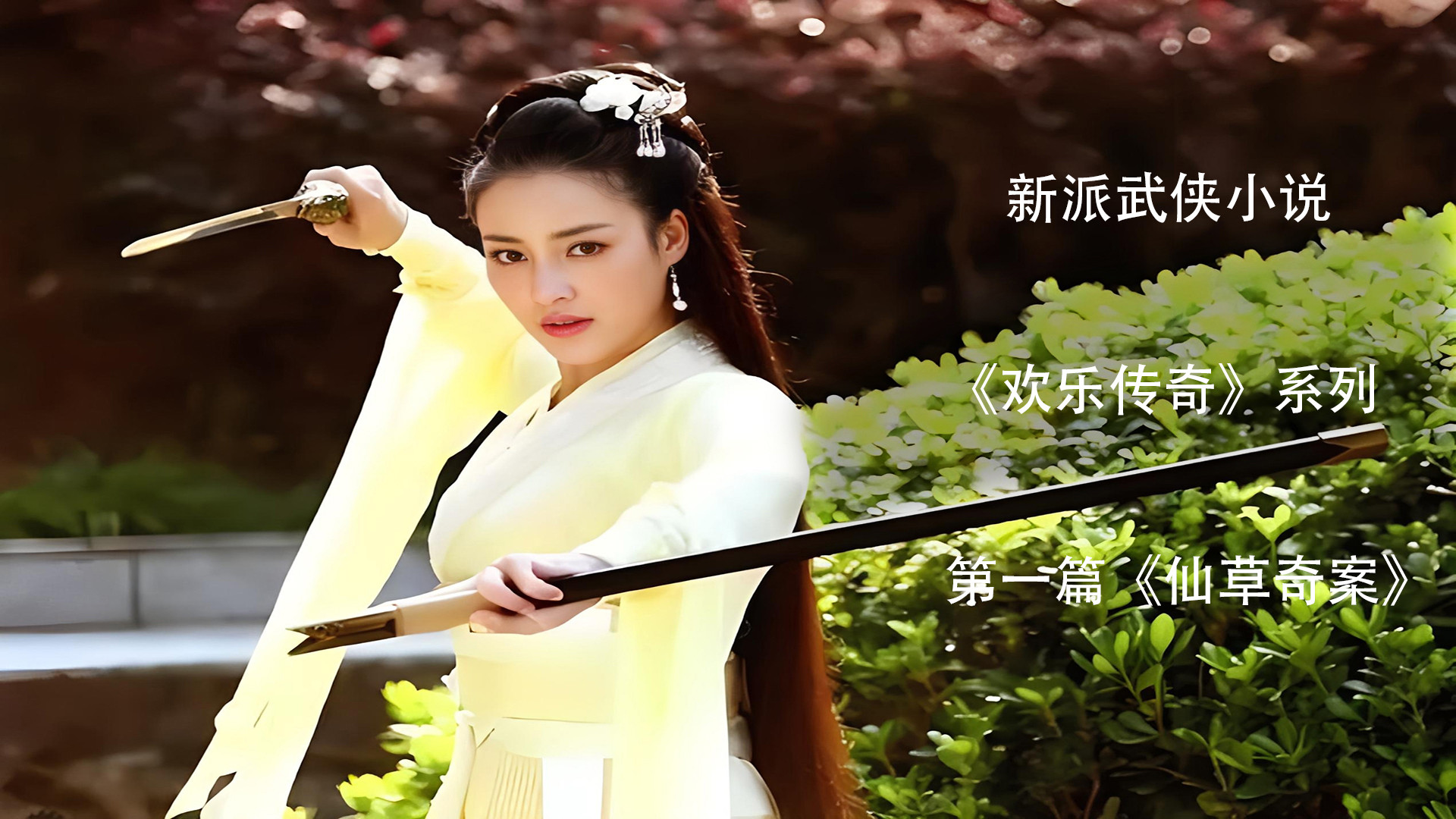 《欢乐传奇》系列第一篇《仙草奇案》第四十三章宅心公子