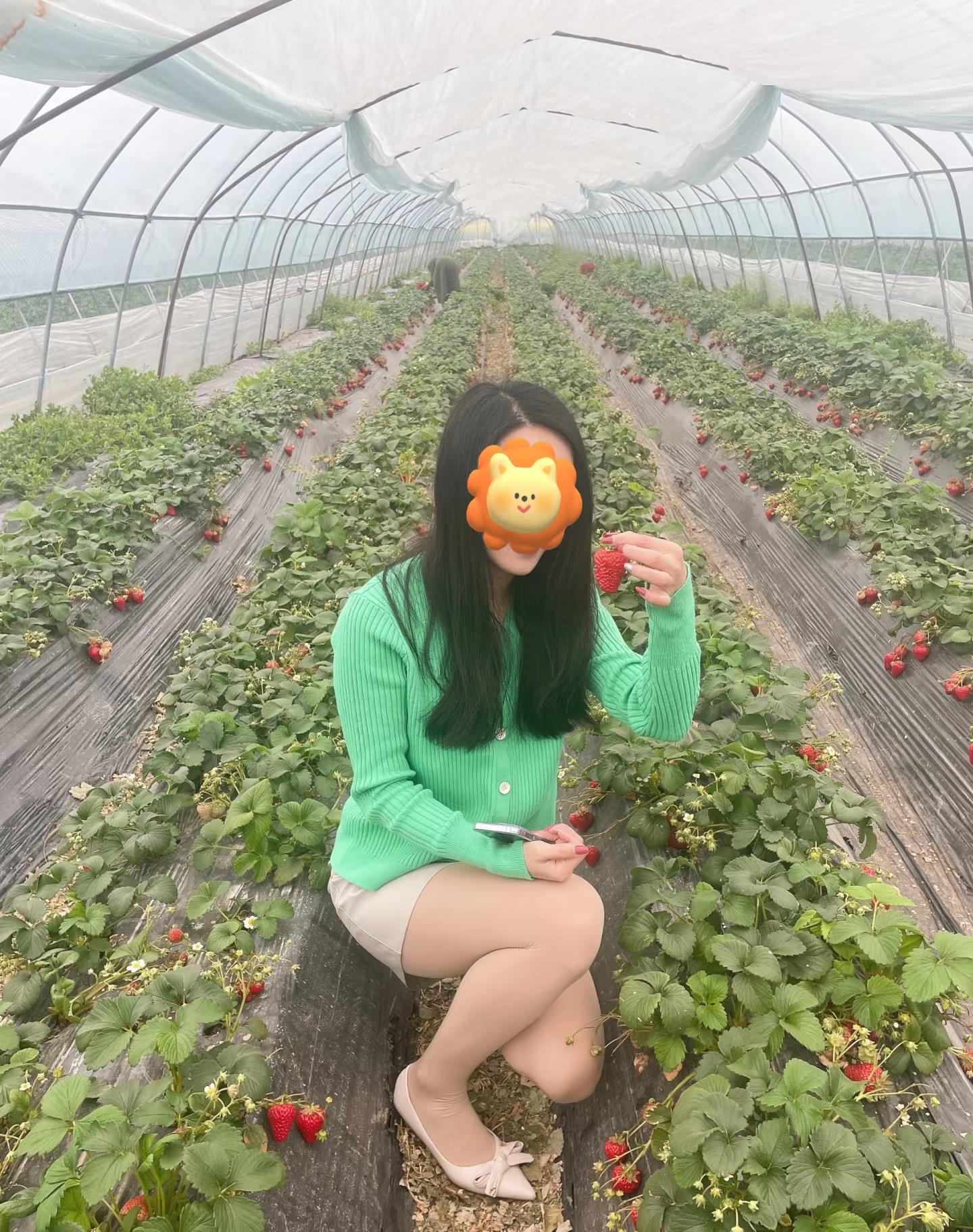 摘草莓也要穿的好看呀