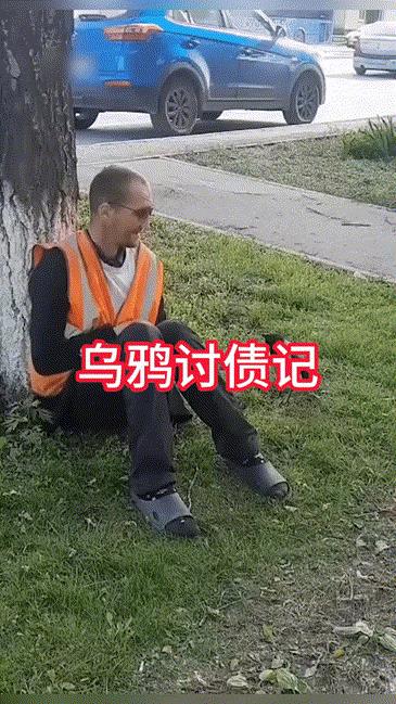 不依不饶，乌鸦讨债记[大笑]